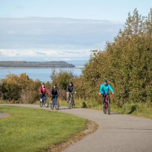 Rehabilitation Therapies and Exercise